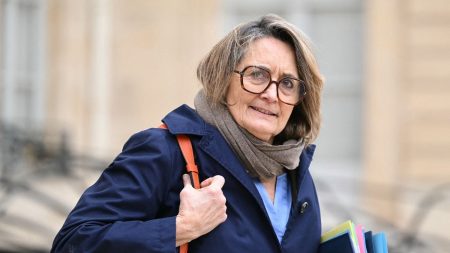 La porte-parole du gouvernement, Sophie Primas, dit n'avoir "pas de pudeur" à évoquer l'existence du concept contesté de "racisme anti-blanc"
