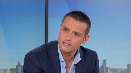 Aleksandar Nikolic, député européen, porte-parole du RN : "manifester n'est pas une accusation du système"
