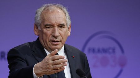 Problèmes d'assurances des collectivités : le gouvernement va lancer une "cellule d'accompagnement", annonce François Bayrou