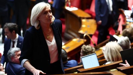 Procès en appel, pourvoi en cassation, saisine du Conseil constitutionnel... De quels recours Marine Le Pen dispose-t-elle après sa condamnation ?
