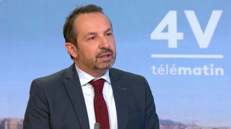 Condamnation de Marine Le Pen : "C'est un choc pour la démocratie", estime Sébastien Chenu, vice-président du RN