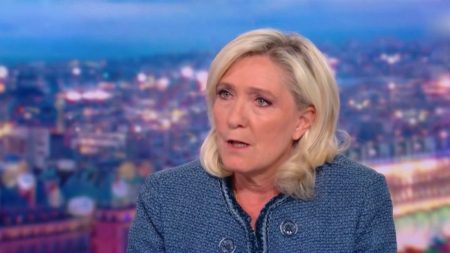 Condamnation de Marine Le Pen : quels recours avant la présidentielle de 2027 ?