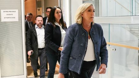 Affaire des assistants parlementaires du FN : neuf des 24 condamnés, dont Marine Le Pen, ont fait appel à ce stade