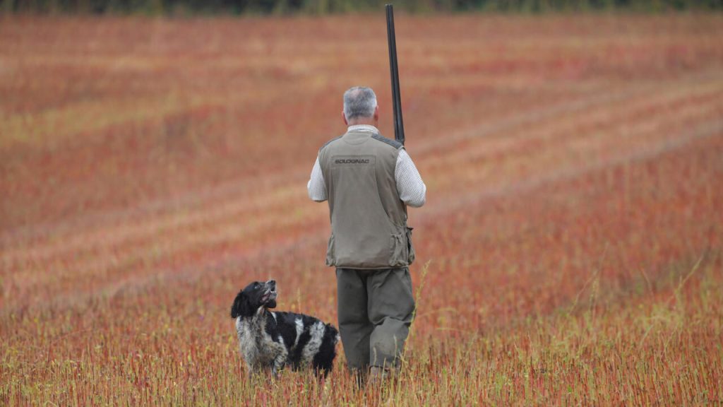 La plupart des français favorisent l'interdiction de la chasse au dimanche au milieu des problèmes de sécurité