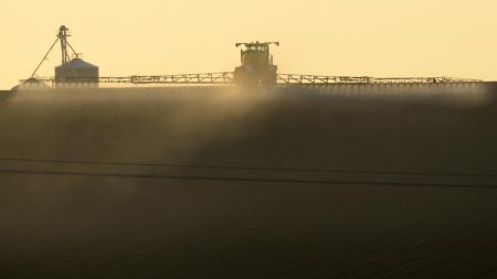 Les parents français poursuivent Bayer sur les malformations congénitales du glyphosate chez leur fils