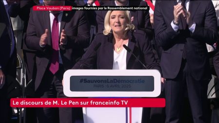 Condamnation de Marine Le Pen : "Je ne lâcherai rien, cette décision a foulé au pied mon peuple, mon pays et mon honneur", clame la leader du RN devant ses militants