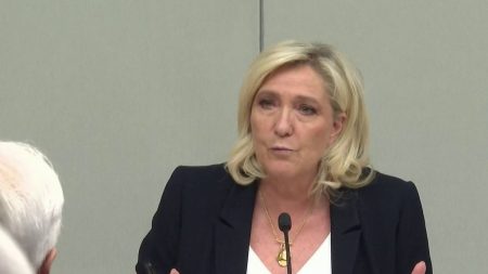 Condamnation de Marine Le Pen : le Rassemblement National et ses sympathisants contre-attaquent