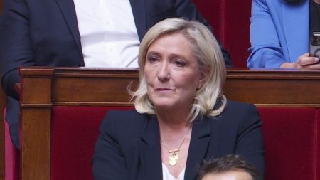 Condamnation de Marine Le Pen : le RN organise sa riposte