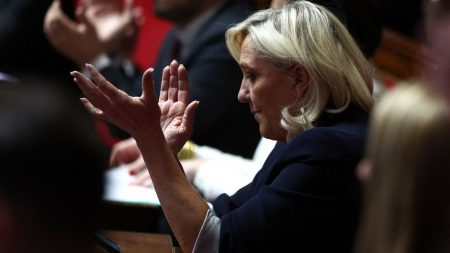 Condamnation de Marine Le Pen : le Rassemblement national organise "un meeting de soutien" dimanche à Paris