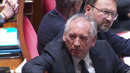 Inéligibilité de Marine Le Pen : le gouvernement sous pression