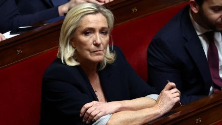 Procès des assistants parlementaires du FN : 13 condamnés sur 25 ont fait appel du jugement, dont Marine Le Pen