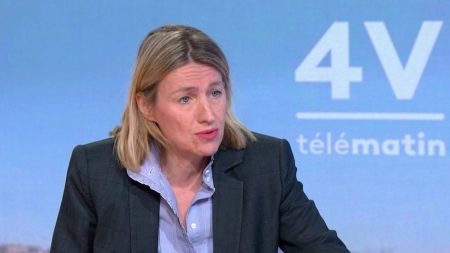 Droits de douane américains : "Le protectionnisme n'a jamais été une bonne solution", estime la ministre du Travail Astrid Panosyan-Bouvet