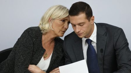 Pétition, tracts, conférences de presse locales... Comment le RN veut mobiliser ses soutiens après la condamnation de Marine Le Pen