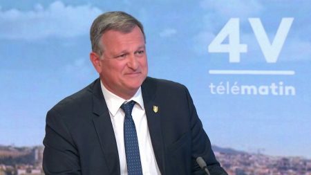 Manifestation du Rassemblement national à Paris: “On a engrangé plus de 20 000 adhérents”, assure Louis Aliot