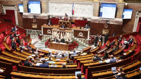 Les députés adoptent l'article phare de la réforme du scrutin municipal à Paris, Lyon et Marseille