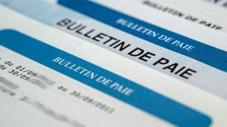Les fiches de paie des Français sont-elles vraiment devenues de plus en plus complexes ?

          Les députés planchent sur le choc de simplification voulu par le président de la République. Le projet de loi initial prévoyait de simplifier nos bulletins de paie, toujours aussi compliqués à déchiffrer malgré de multiples réformes.