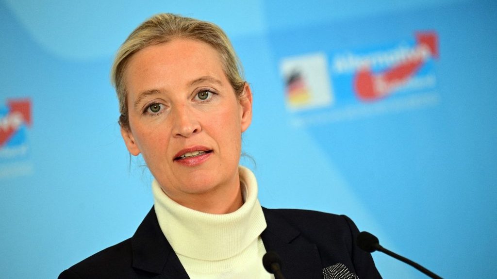 Le parti allemand AfD classé "extrémiste de droite avéré" par le renseignement intérieur