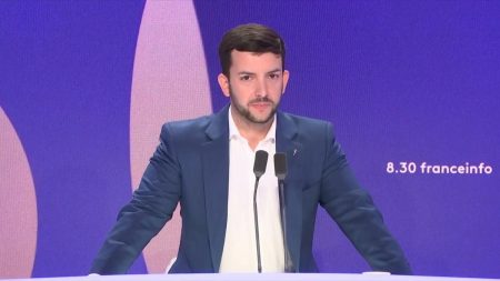 Aide à mourir : Jean-Philippe Tanguy et "quelques collègues" du Rassemblement national voteront le texte