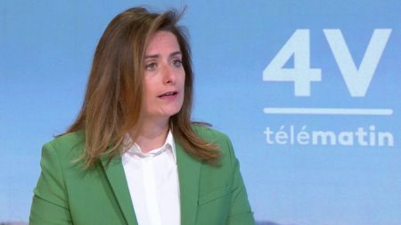 ArcelorMittal : il faut que "l'État ait prise sur les décisions", estime Marine Tondelier