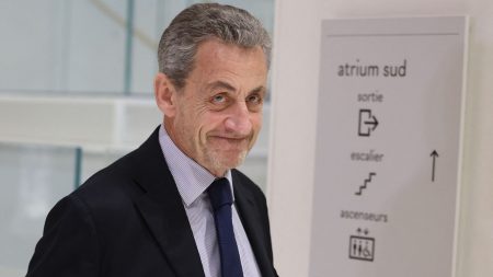 Plusieurs familles de décorés de la Légion d'honneur saisissent la justice pour demander le retrait de celle reçue par Nicolas Sarkozy