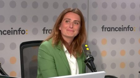 Droit à l'aide à mourir : "Je suis très émue, c'est enfin une bonne nouvelle", réagit Marine Tondelier

          Les députés ont approuvé, mardi, largement la proposition de loi créant un droit à l'aide à mourir.