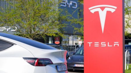:
    Infographies




  



  


  
  Visualisez l'effondrement des ventes de voitures Tesla en Europe en 2025