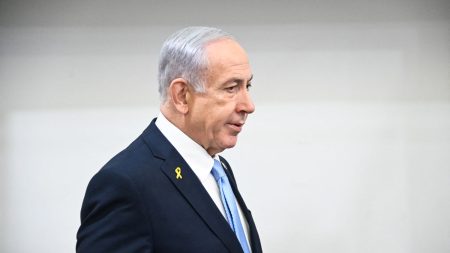 Face au drame humanitaire de Gaza, l'isolement diplomatique d'Israël se renforce

          Après la reprise d'une offensive militaire terrestre d'envergure dans la bande de Gaza, la France, le Royaume-Uni et le Canada menacent dans une déclaration commune de sanctionner le gouvernement israélien, coupable d'entraver toute aide humanitaire. Même l'allié américain prend ses distances.