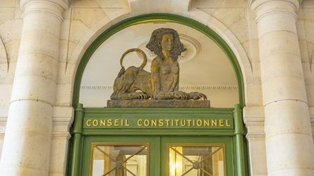 Loi contre le narcotrafic : des députés de gauche saisissent le Conseil constitutionnel