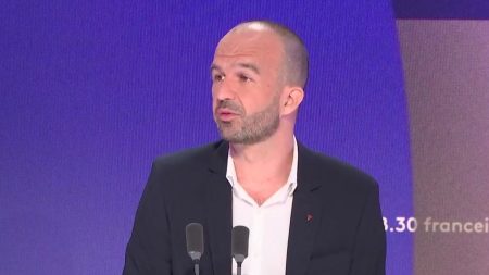 Proposition de loi Duplomb : l'Insoumis Manuel Bompard accuse "la macronie" d'avoir "inventé le 49.3 des députés"