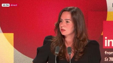 Marine Le Pen condamnée : "Les juges ont raison d'appliquer la loi", mais c'est "le peuple qui doit décider", affirme Sarah Knafo, de Reconquête