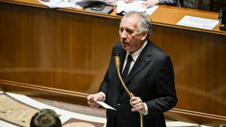 Référendum sur le budget : la proposition de François Bayrou divise