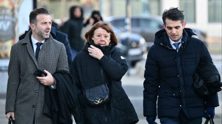 Violences sexuelles : les avocats de Gisèle Pelicot dénoncent "les effets sur des générations entières" lors d'une audition au Sénat