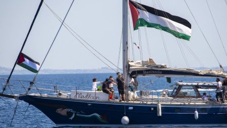 Bateau pour Gaza intercepté : au moins sept militants n'ont pas accepté leur expulsion d'Israël dont l'eurodéputé Rima Hassan