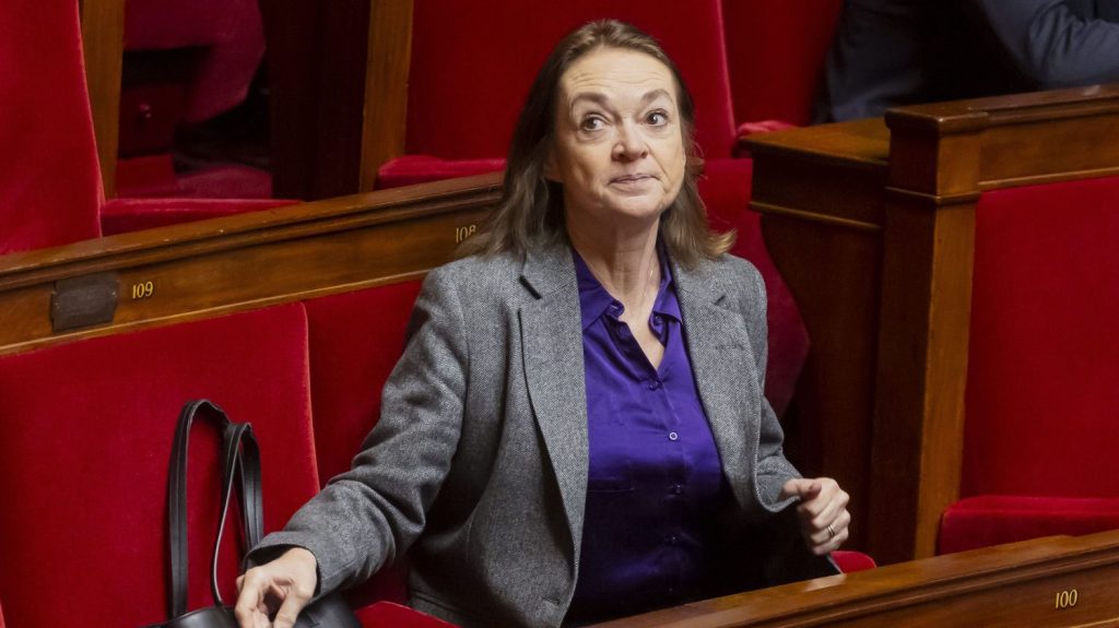 La députée RN Caroline Parmentier épinglée pour ses propos racistes, homophobes et pétainistes sur Facebook