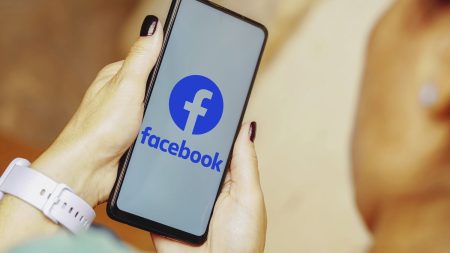 La direction du groupe RN à l'Assemblée nationale demande aux députés de quitter des groupes Facebook épinglés pour racisme
