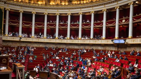 A l'Assemblée nationale, les députés approuvent en commission l'interdiction du mariage avec un étranger en situation irrégulière