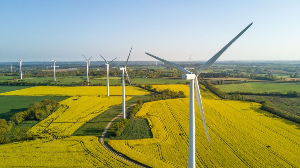 Un moratoire sur l'éolien et le photovoltaïque adopté à l’Assemblée avec les voix de l'extrême droite et de la droite