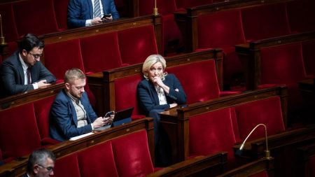 Neuf députés du Rassemblement national repérés dans un groupe Facebook aux contenus racistes et homophobes