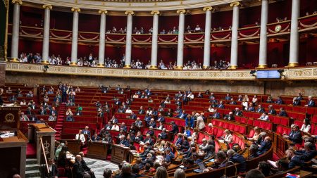 Le projet de loi de "simplification", qui prévoit d'abroger les zones à faibles émissions, adopté à l'Assemblée nationale