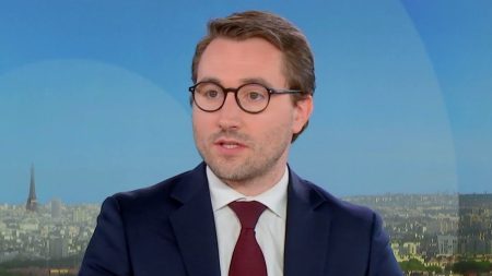Sondages : "Il y a une difficulté, notamment pour capter les populations les plus jeunes, les plus populaires", constate le député LFI Antoine Léaument