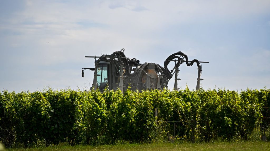Trois associations accusent l'État de "bloquer" la publication d'un rapport sur les effets des pesticides sur les riverains des vignes