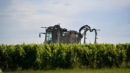 Trois associations accusent l'État de "bloquer" la publication d'un rapport sur les effets des pesticides sur les riverains des vignes
