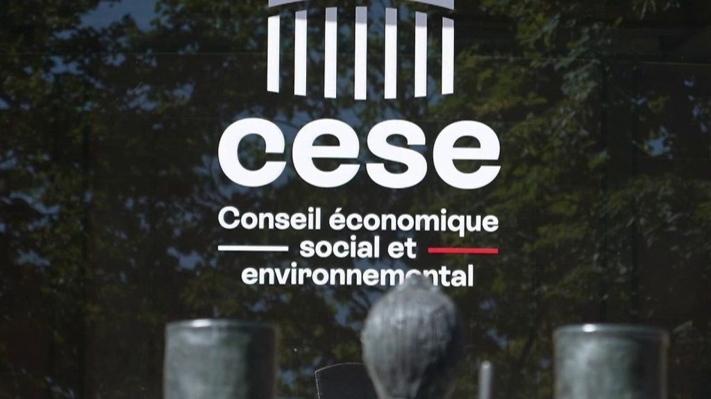 Cese : à quoi sert le Conseil économique, social et environnemental, dans le viseur d'un rapport parlementaire ?