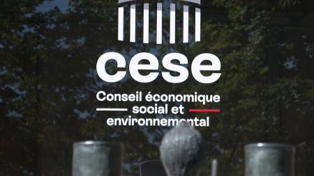 Cese : à quoi sert le Conseil économique, social et environnemental, dans le viseur d'un rapport parlementaire ?