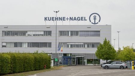 Des contraceptifs que les Etats-Unis ne veulent plus envoyer aux pays pauvres menacés d'être incinérés en France, des élues interpellent Emmanuel Macron