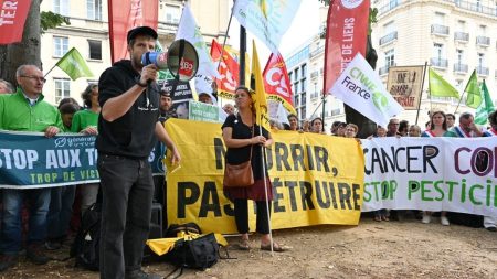 Des députés de gauche saisissent le Conseil constitutionnel contre la controversée loi agricole Duplomb