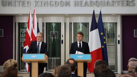 Les effectifs de la force franco-britannique renforcés pour atteindre "jusqu'à 50 000 hommes" mobilisables