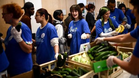 :
    Podcast



  



  




      

  

  
                    



  


      :
    Podcast



  



  




    
    Étudiants impactés par le budget 2026, un ex-condamné à mort libéré, les Bleues ambianceuses de l'Euro : ça dit quoi ce 18 juillet ?
