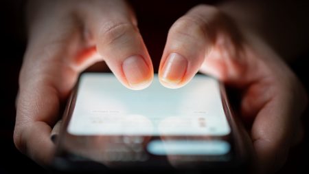 "Arbres", "noix", "tout le monde le sait"... Ce vocabulaire détourné par des internautes pour diffuser des idées d'extrême droite sur les réseaux sociaux