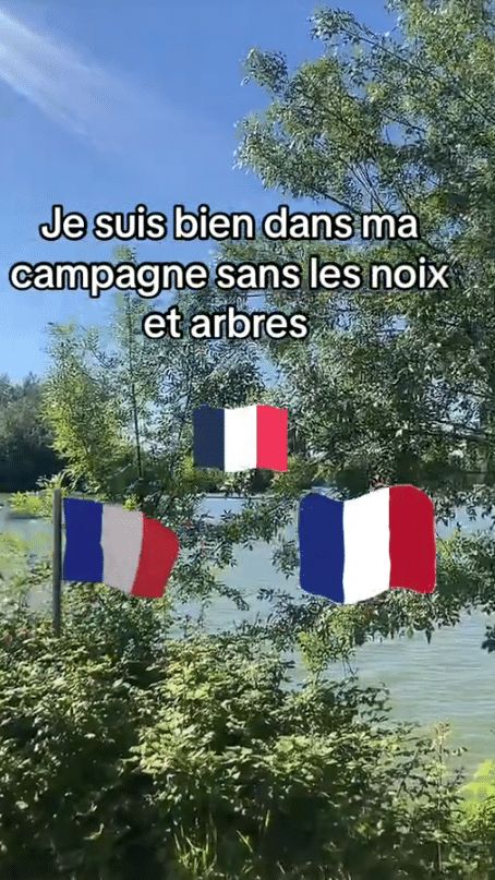 Capture d'écran d'une vidéo détournant les mots "arbres" et "noix", utilisés par des militants d'extrême-droite pour contourner des sanctions pénales. (CAPTURE D'ÉCRAN / TIK TOK)